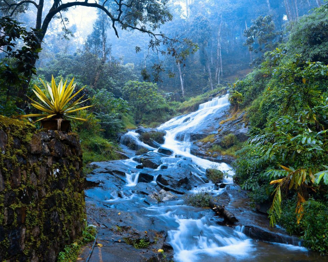 Falling Waters مونار المظهر الخارجي الصورة