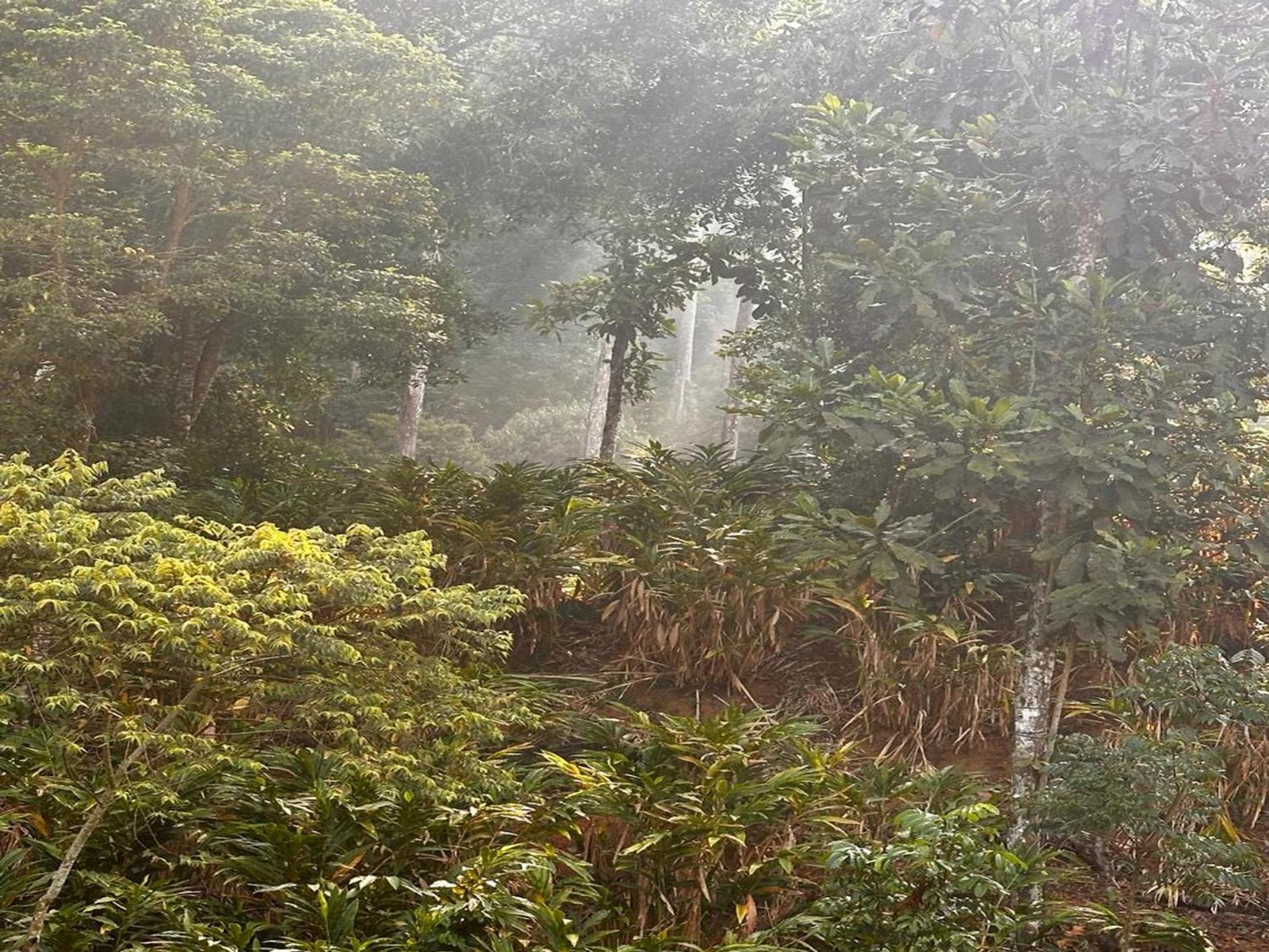 Falling Waters مونار المظهر الخارجي الصورة
